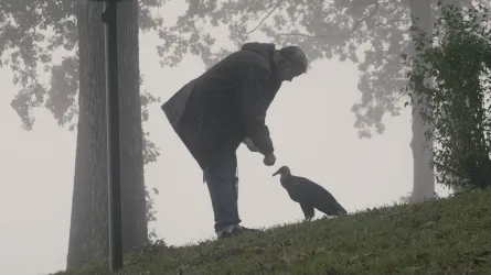 A woman wearing a rain coat leans down to feed a resting vulture on a grassy knoll.