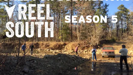 Reel South Call for Submissions